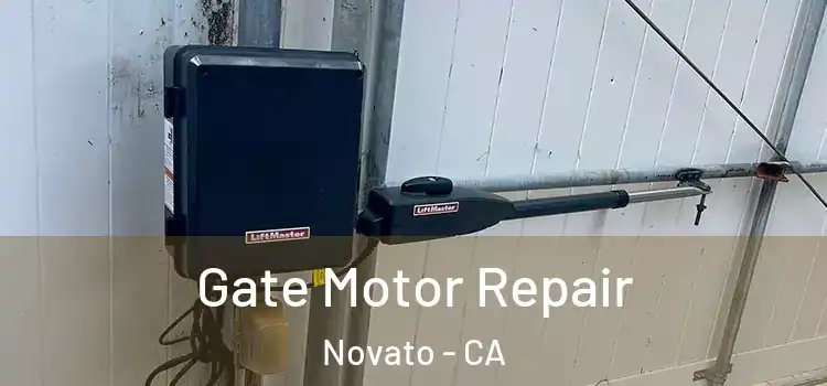 Gate Motor Repair Novato - CA