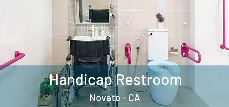 Handicap Restroom Novato - CA
