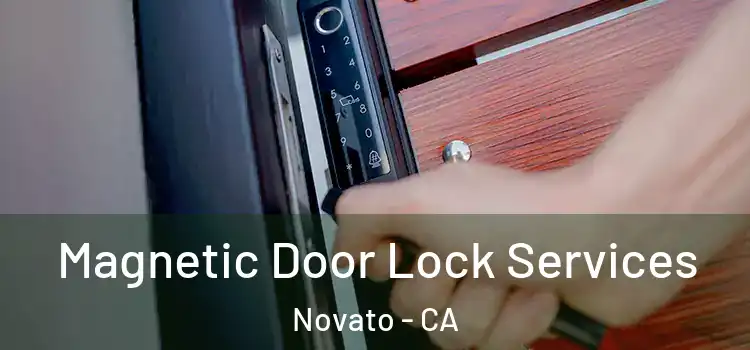 Magnetic Door Lock Services Novato - CA
